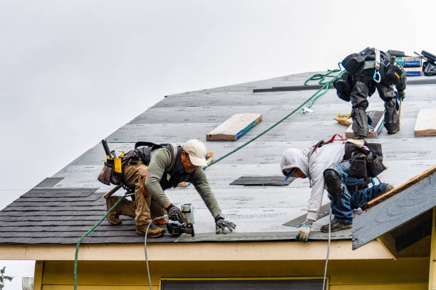 Professional Roofing technician working in Hallieford, VA